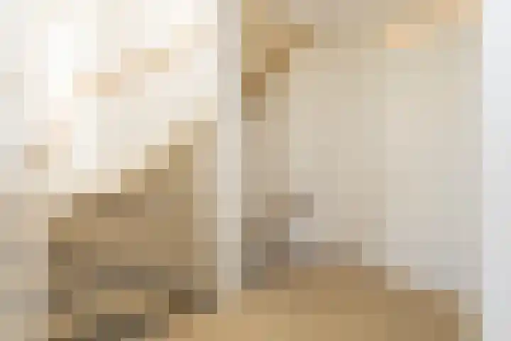 De Eilanden 20 Bergschenhoek thumbnail 33