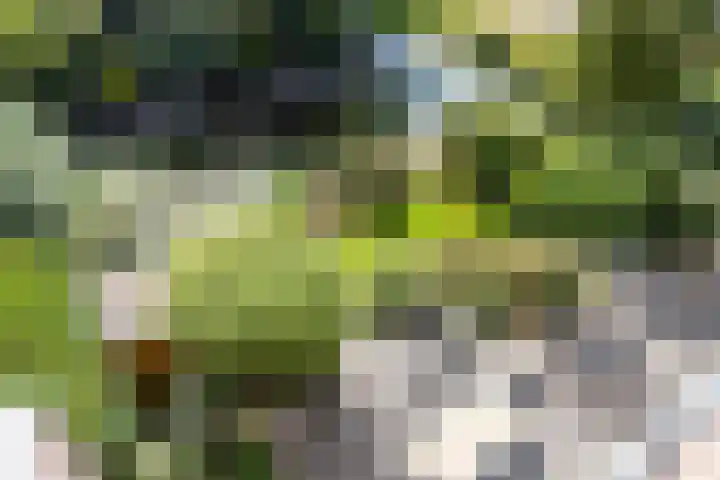 De Eilanden 20 Bergschenhoek thumbnail 39