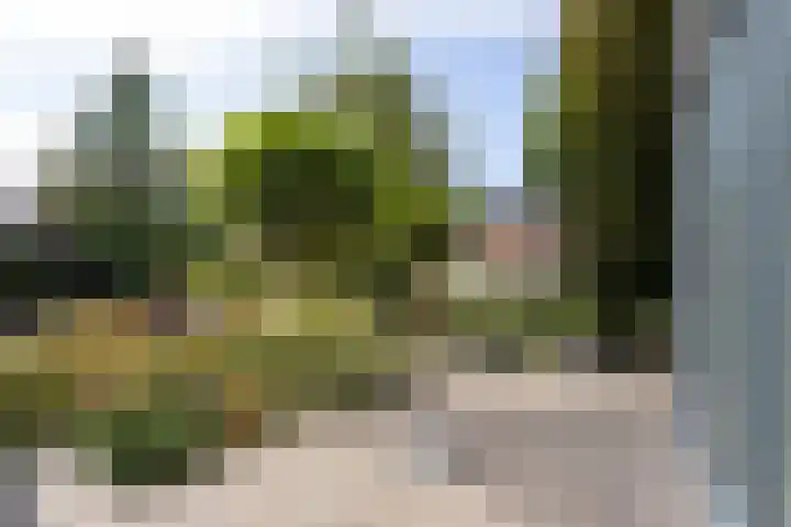 De Eilanden 20 Bergschenhoek thumbnail 40