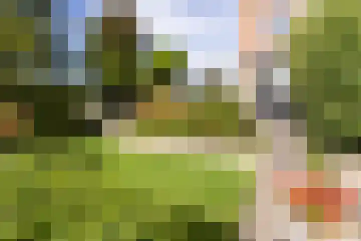 De Eilanden 20 Bergschenhoek thumbnail 41
