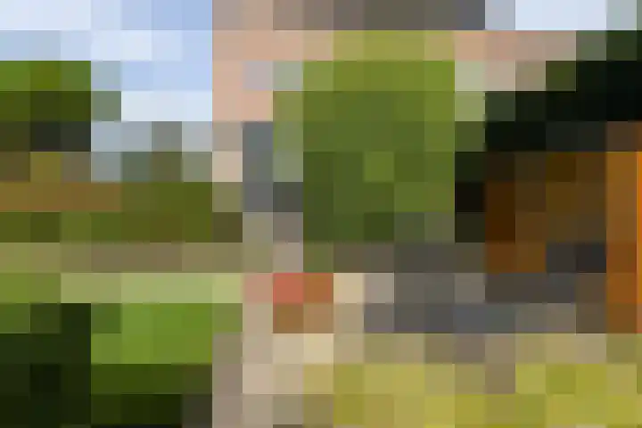 De Eilanden 20 Bergschenhoek thumbnail 42