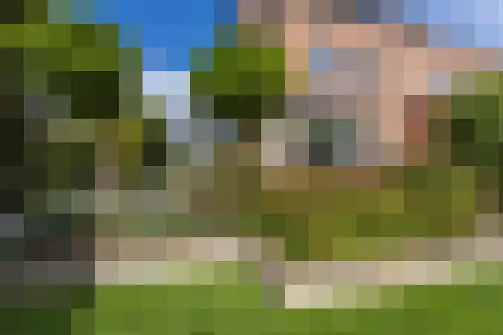 De Eilanden 20 Bergschenhoek thumbnail 44