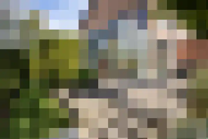 De Eilanden 20 Bergschenhoek thumbnail 46