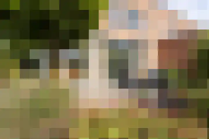 De Eilanden 20 Bergschenhoek thumbnail 47