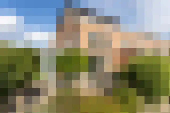 De Eilanden 20 Bergschenhoek thumbnail 48