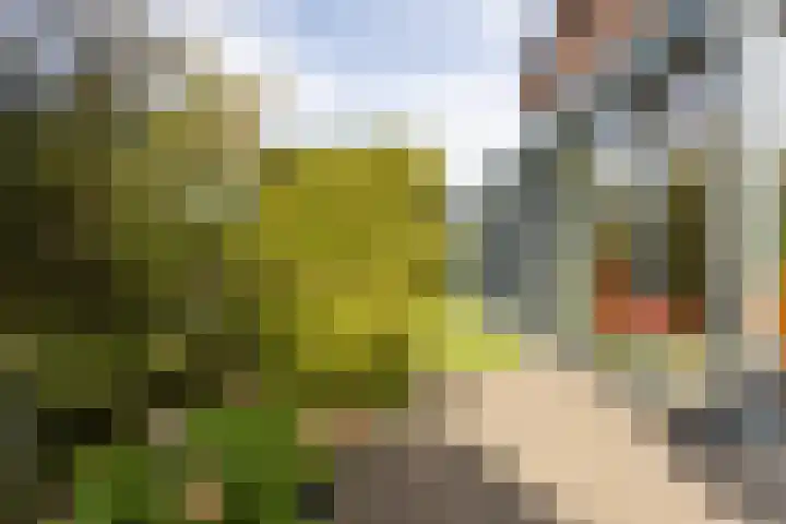 De Eilanden 20 Bergschenhoek thumbnail 49
