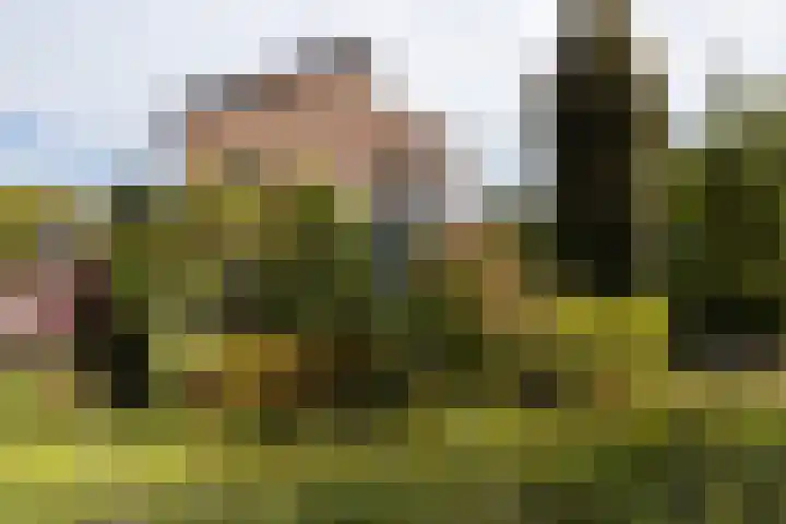 De Eilanden 20 Bergschenhoek thumbnail 50