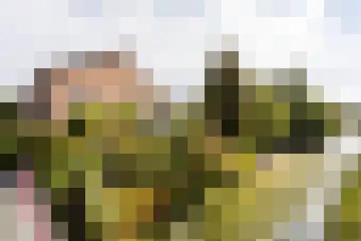 De Eilanden 20 Bergschenhoek thumbnail 51