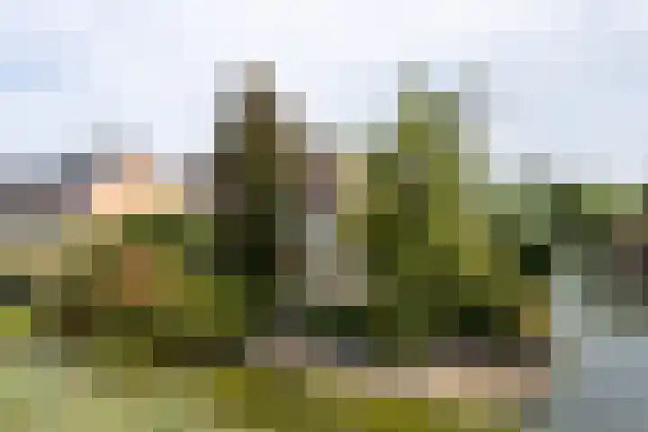 De Eilanden 20 Bergschenhoek thumbnail 52
