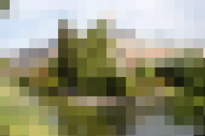 De Eilanden 20 Bergschenhoek thumbnail 53