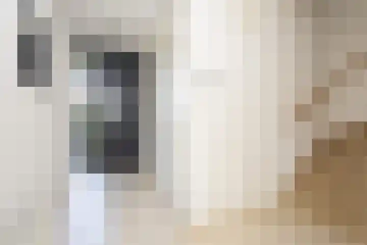 De Eilanden 20 Bergschenhoek thumbnail 6