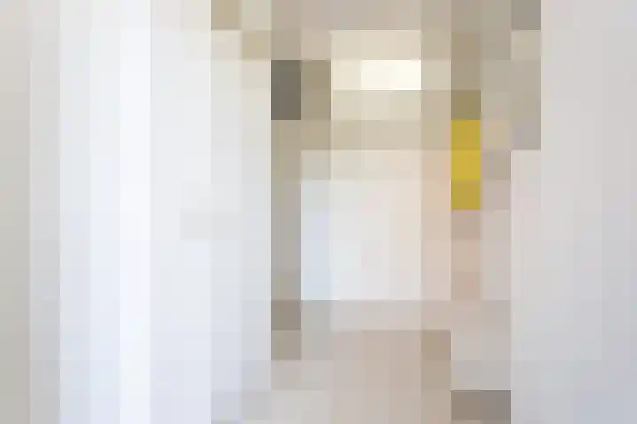 De Eilanden 20 Bergschenhoek thumbnail 7