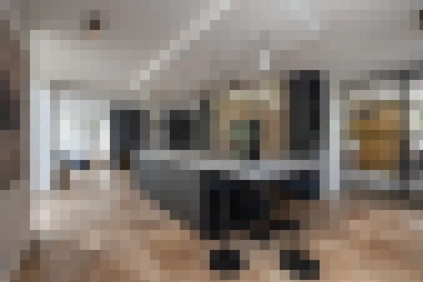 De Eilanden 37 Bergschenhoek thumbnail 10