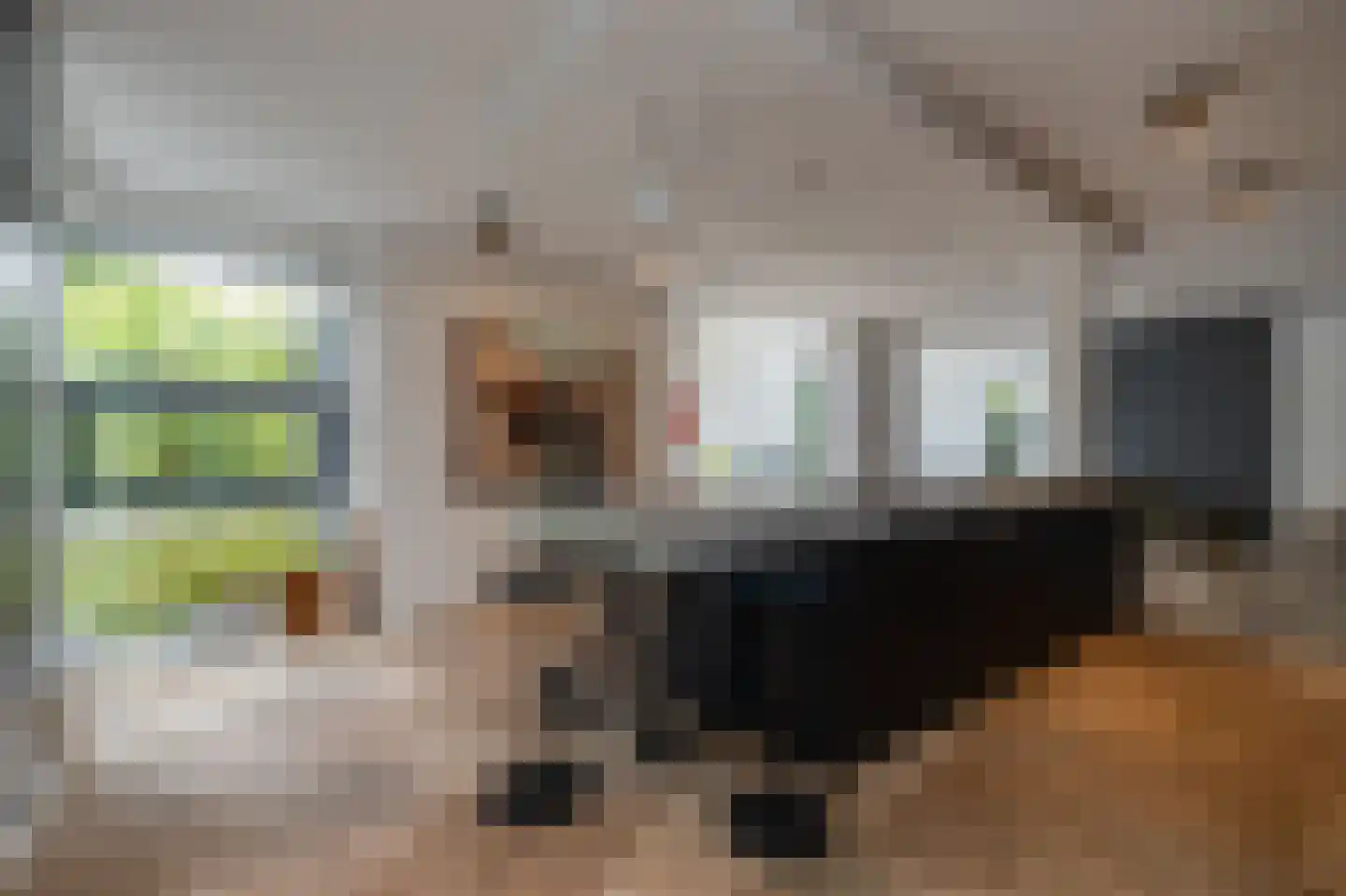 De Eilanden 37 Bergschenhoek thumbnail 11