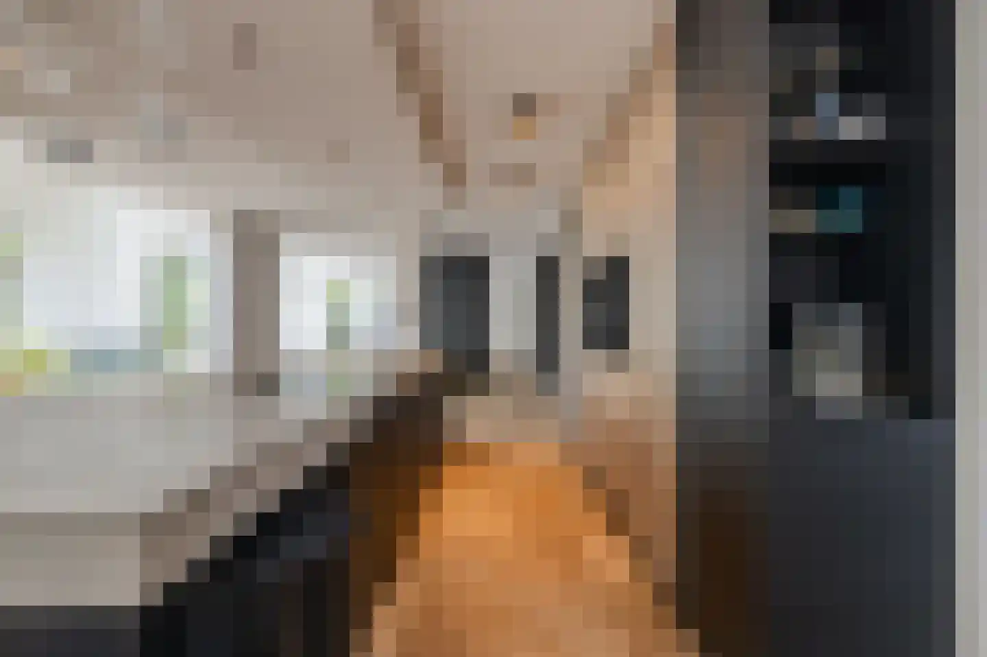 De Eilanden 37 Bergschenhoek thumbnail 12