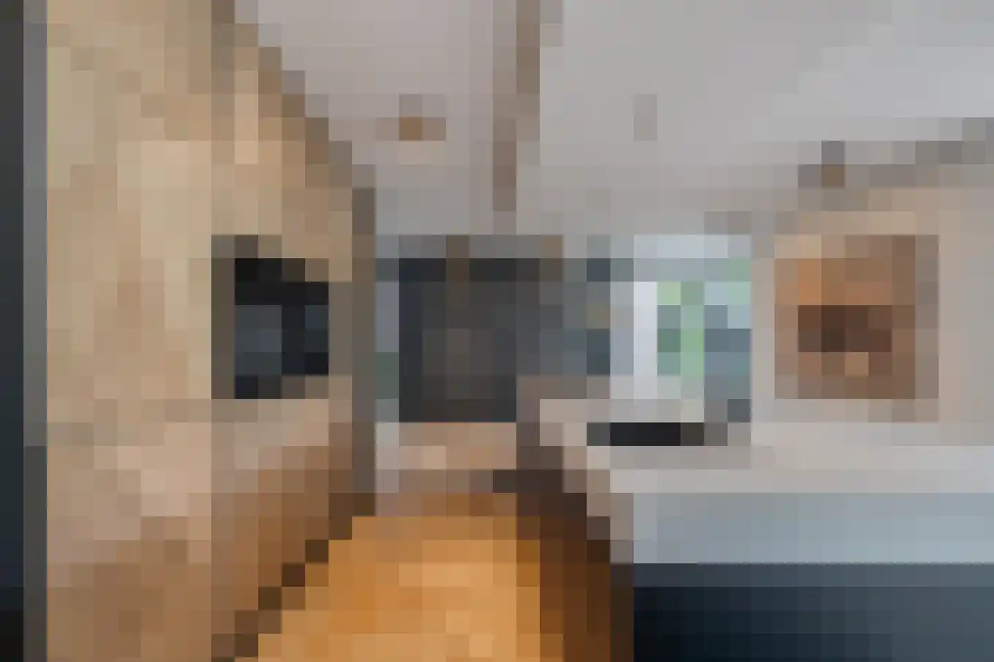De Eilanden 37 Bergschenhoek thumbnail 13