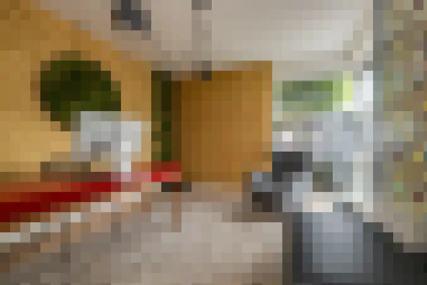 De Eilanden 37 Bergschenhoek thumbnail 17