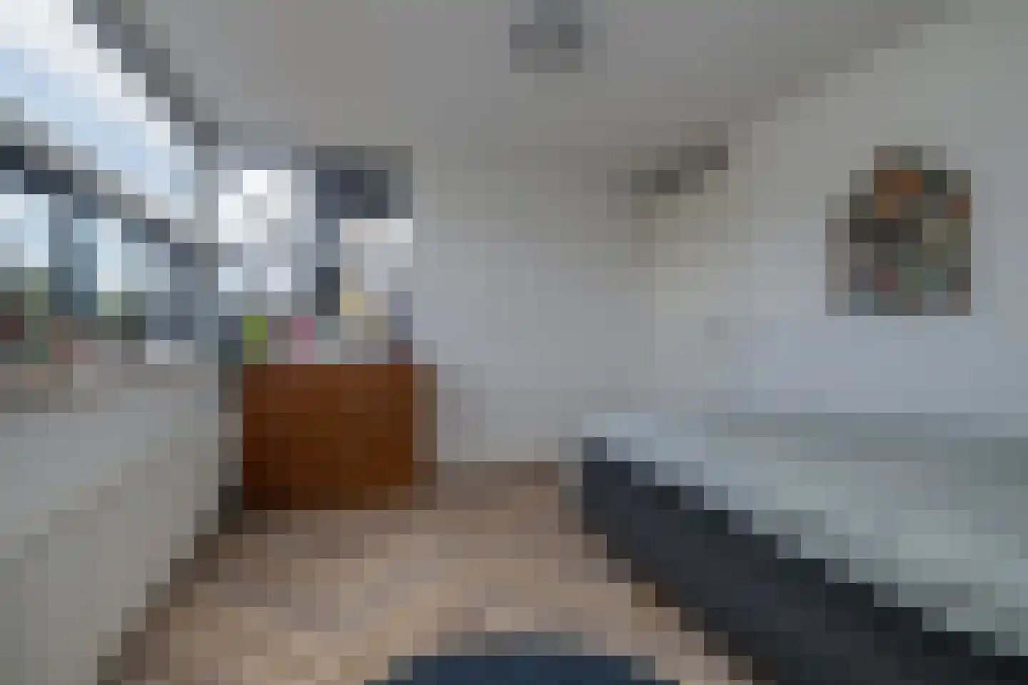 De Eilanden 37 Bergschenhoek thumbnail 20