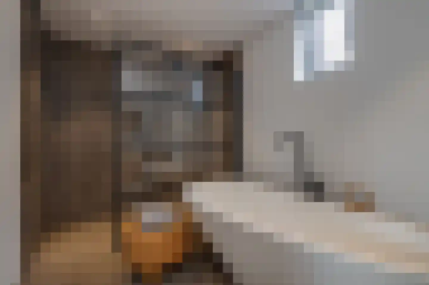 De Eilanden 37 Bergschenhoek thumbnail 24