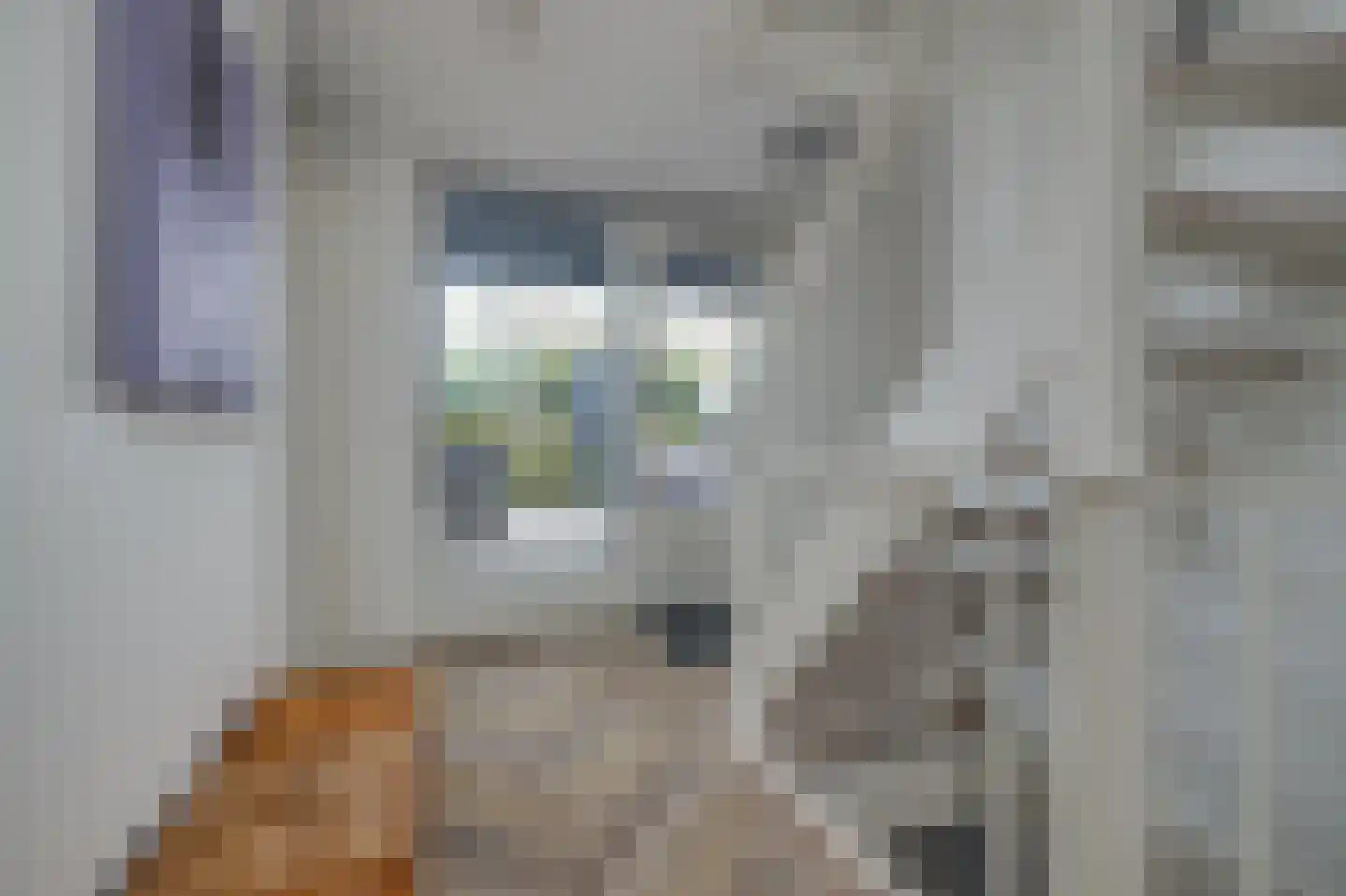 De Eilanden 37 Bergschenhoek thumbnail 29