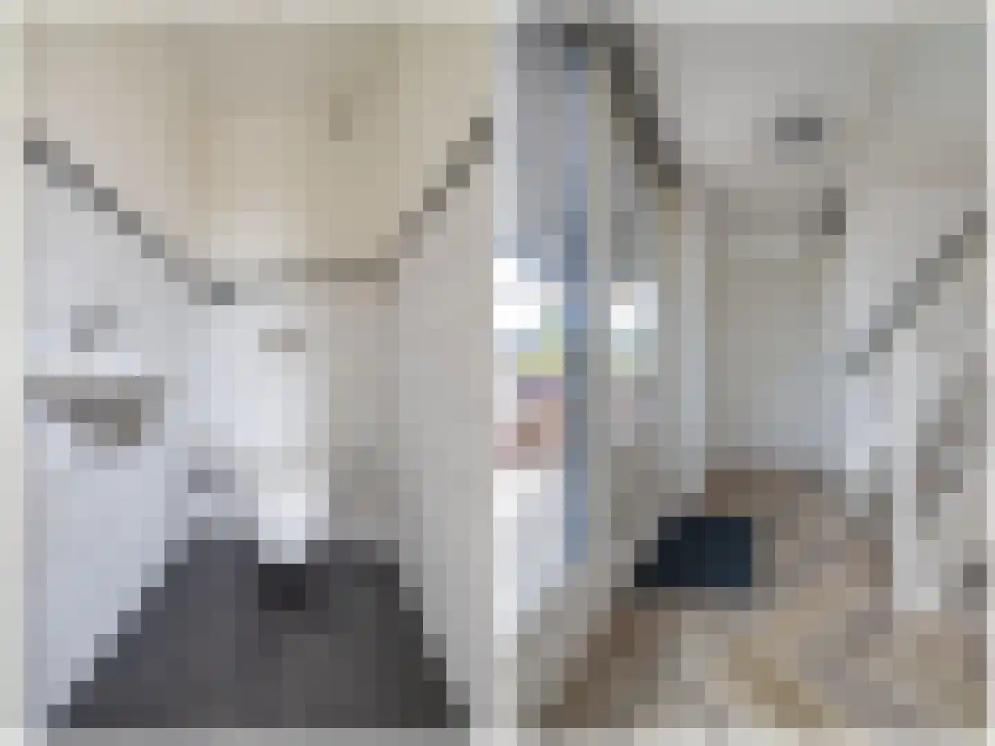 De Eilanden 37 Bergschenhoek thumbnail 30