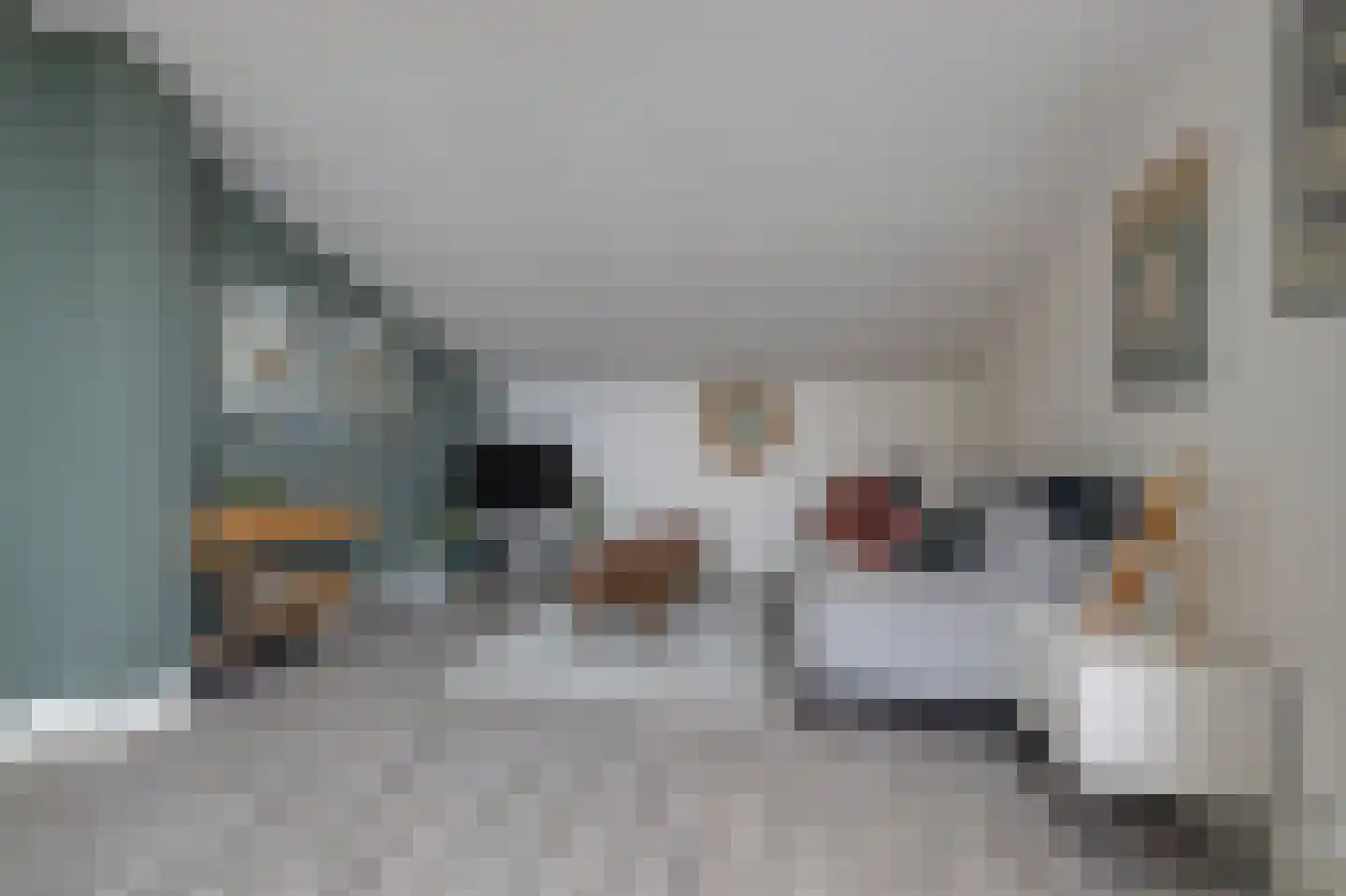 De Eilanden 37 Bergschenhoek thumbnail 31