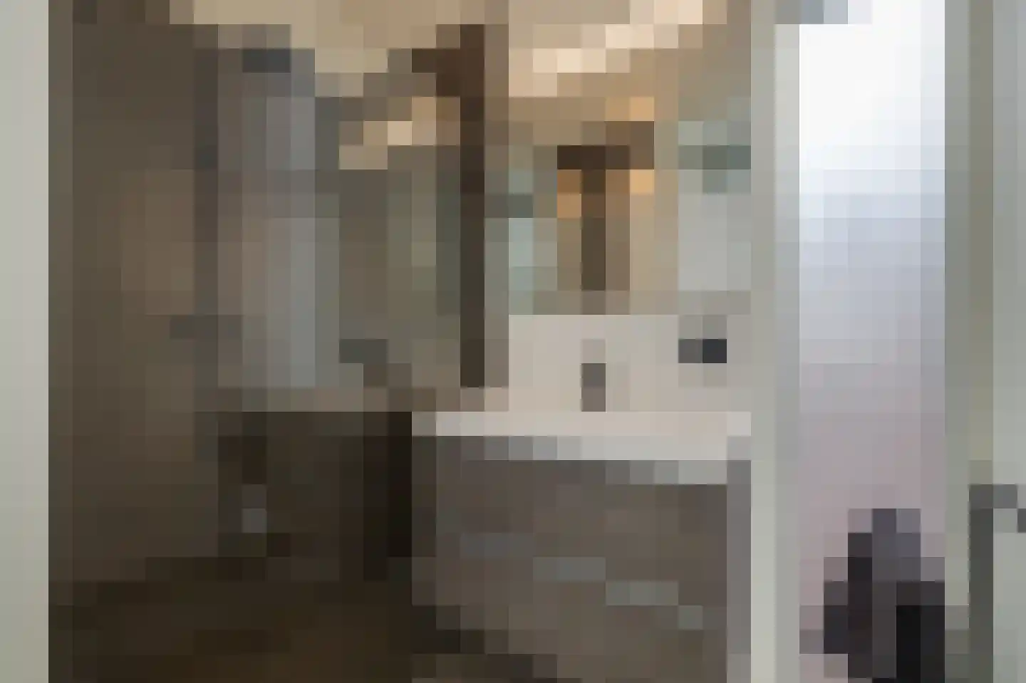 De Eilanden 37 Bergschenhoek thumbnail 33
