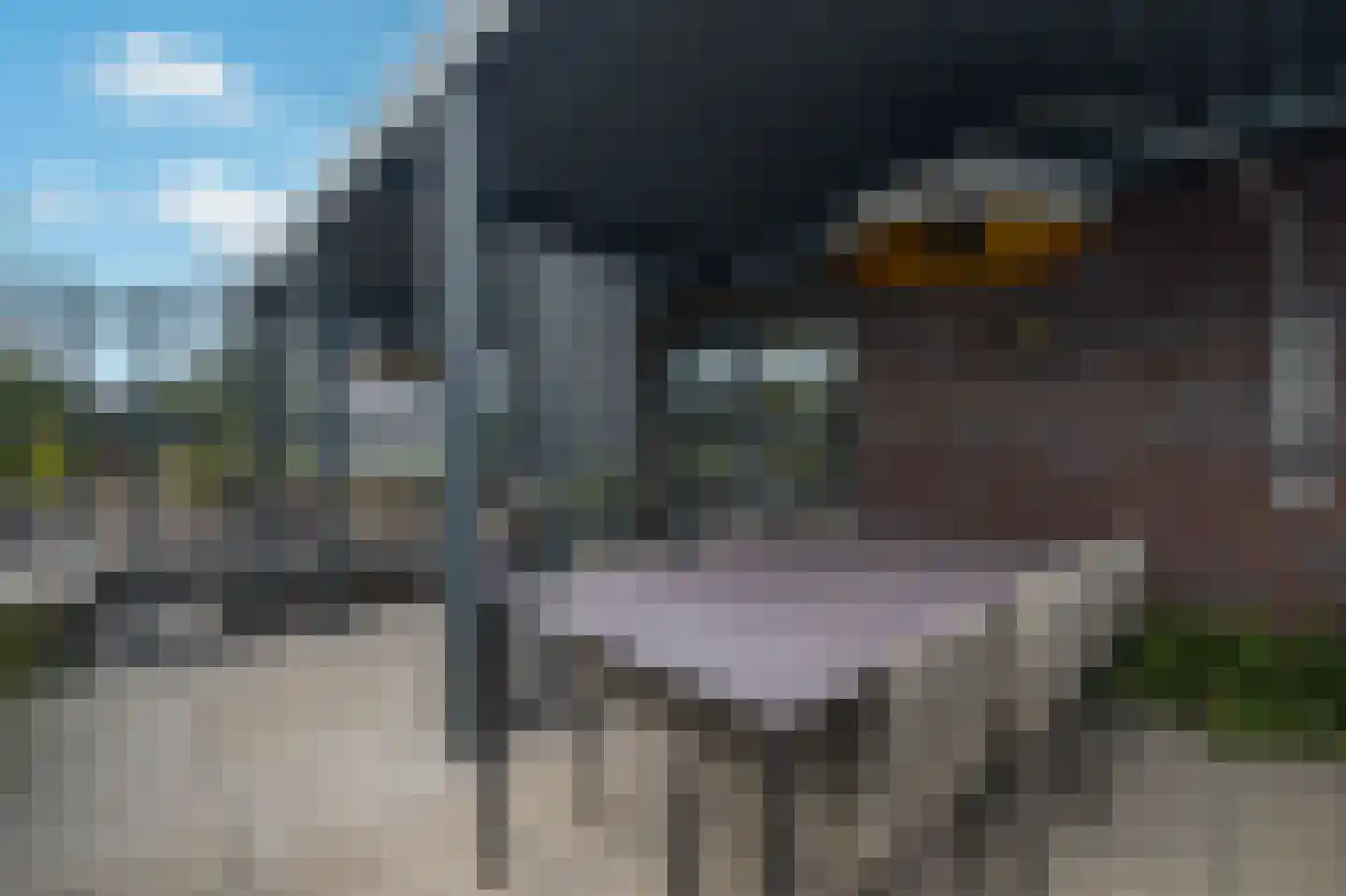 De Eilanden 37 Bergschenhoek thumbnail 37