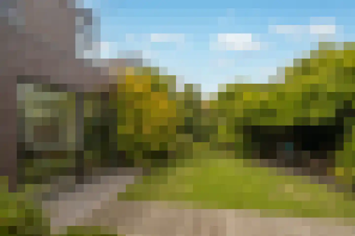 De Eilanden 37 Bergschenhoek thumbnail 43