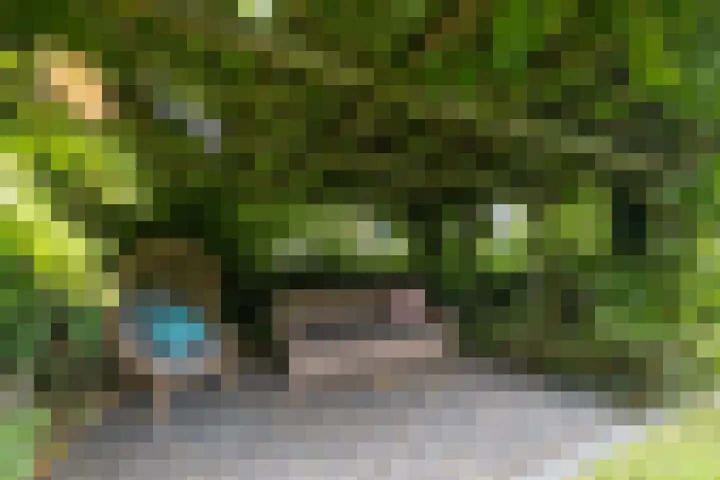 De Eilanden 37 Bergschenhoek thumbnail 44
