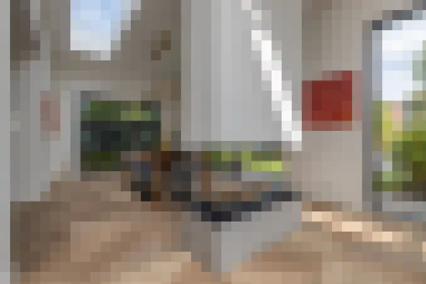 De Eilanden 37 Bergschenhoek thumbnail 6