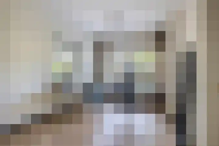 De Eilanden 9 Nuenen thumbnail 40