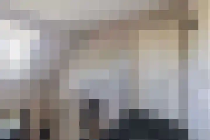 De Eilanden 9 Nuenen thumbnail 43