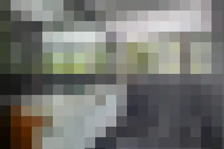 De Eilanden 9 Nuenen thumbnail 52