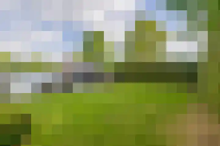 De Eilanden 9 Nuenen thumbnail 61