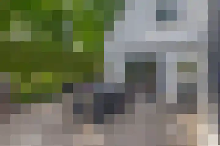 De Eilanden 9 Nuenen thumbnail 63