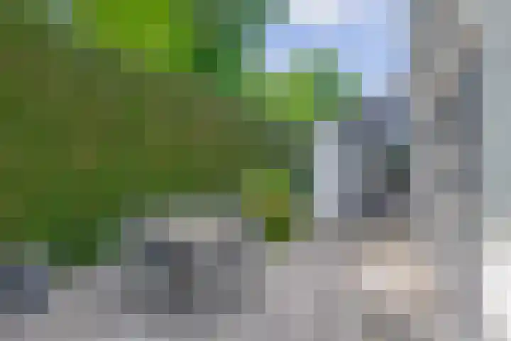 De Eilanden 9 Nuenen thumbnail 65