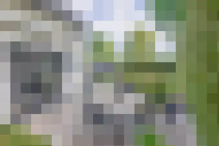 De Eilanden 9 Nuenen thumbnail 66