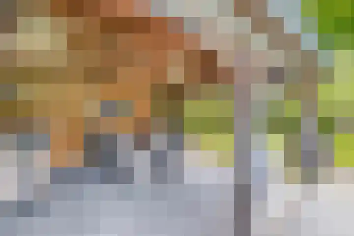De Eilanden 9 Nuenen thumbnail 75