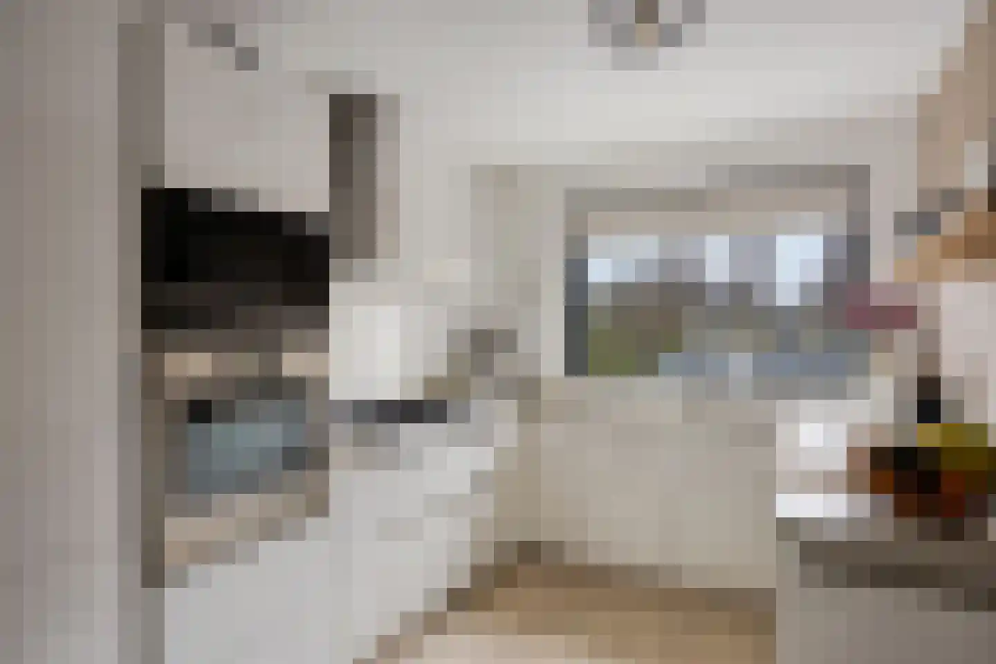 De Eindhoeve 12 Amstelveen thumbnail 11