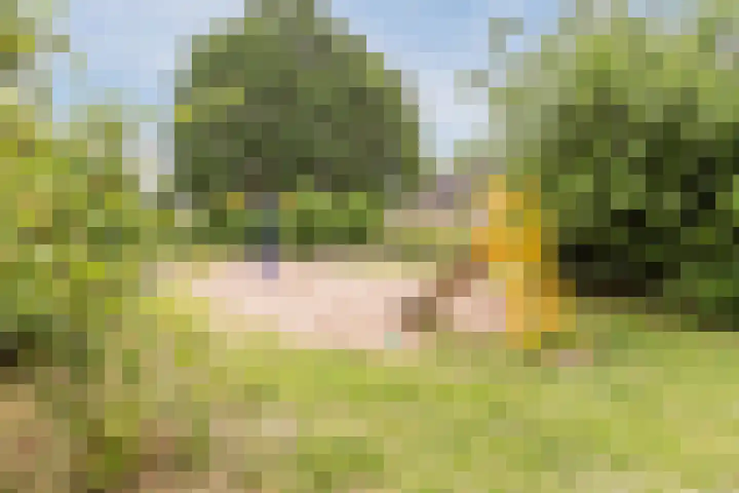 De Eindhoeve 16 Amstelveen thumbnail 36