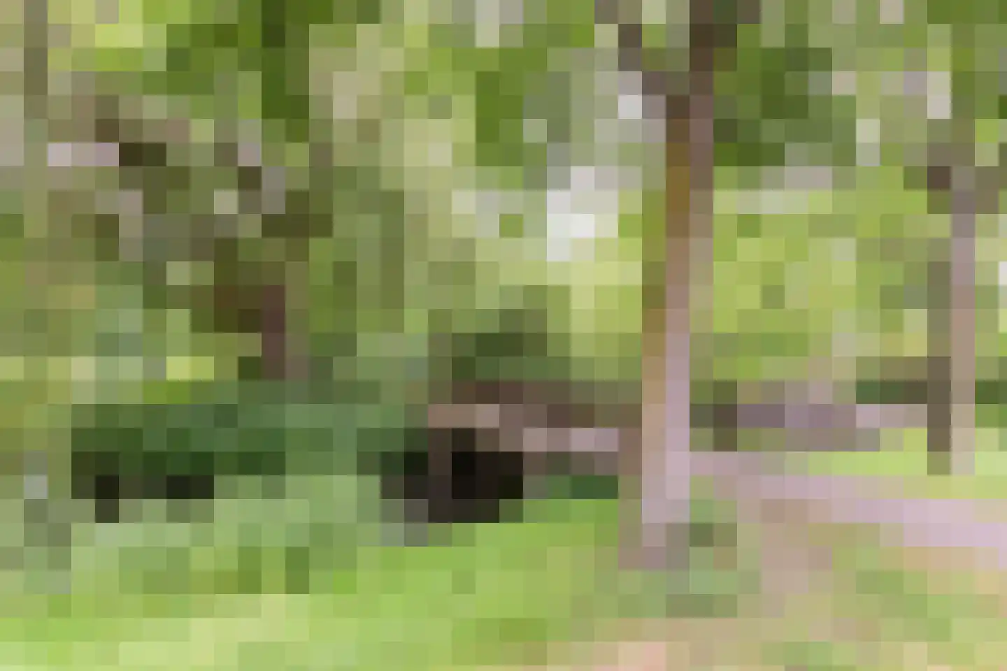 De Eindhoeve 16 Amstelveen thumbnail 39