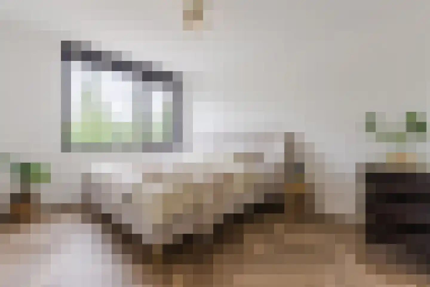 De Eindhoeve 16 Amstelveen thumbnail 4