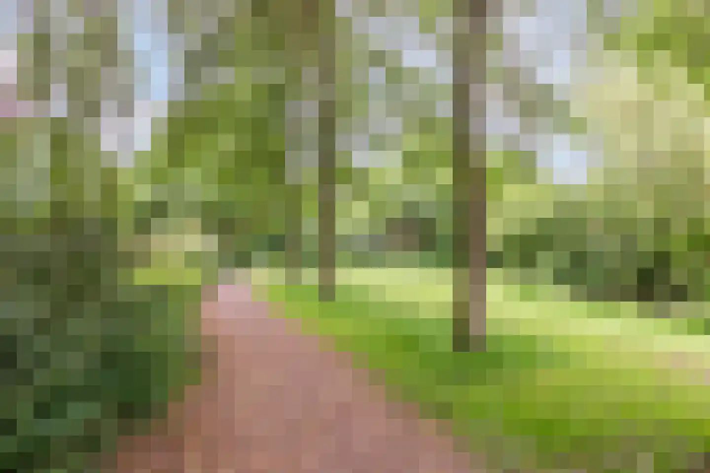 De Eindhoeve 16 Amstelveen thumbnail 40