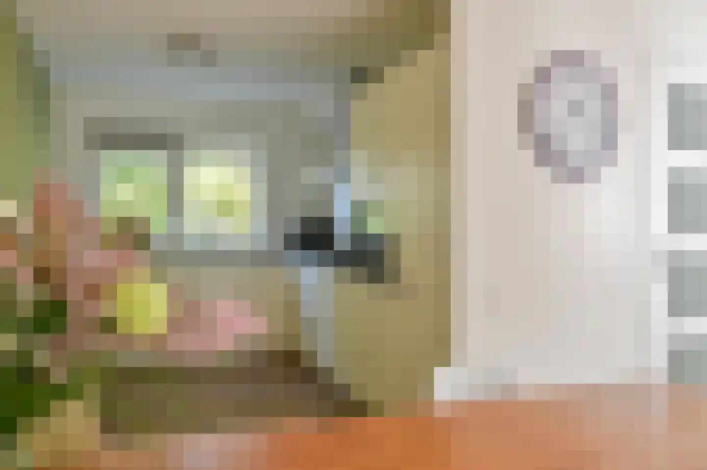 De Eindhoeve 3 Amstelveen thumbnail 10