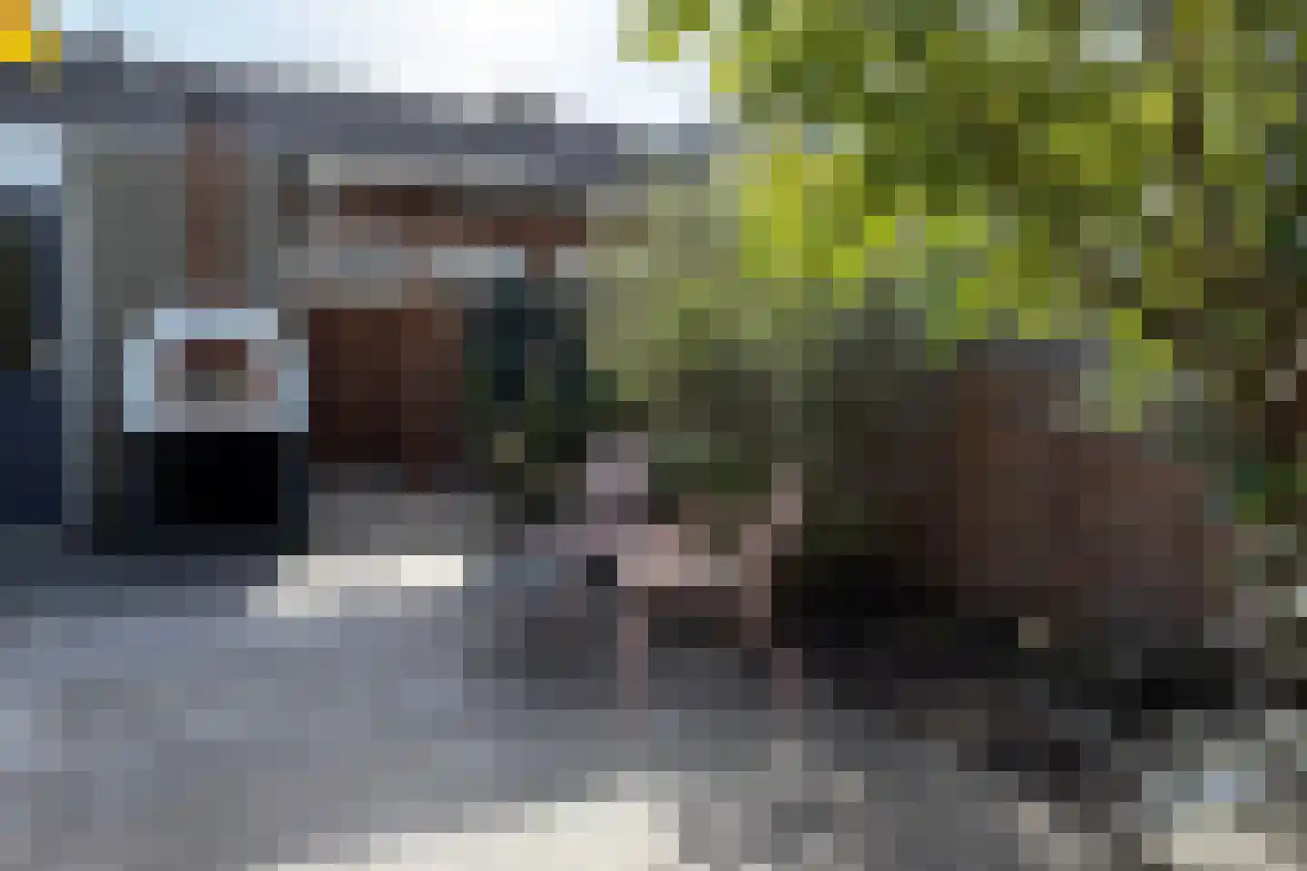 De Eindhoeve 3 Amstelveen thumbnail 28