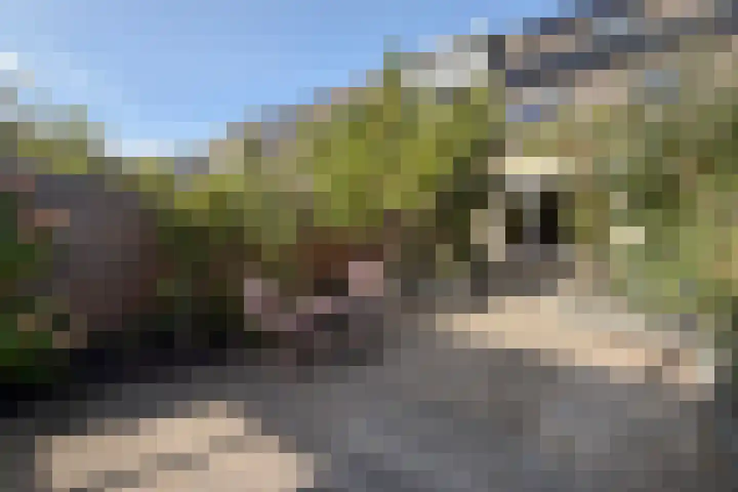 De Eindhoeve 3 Amstelveen thumbnail 29