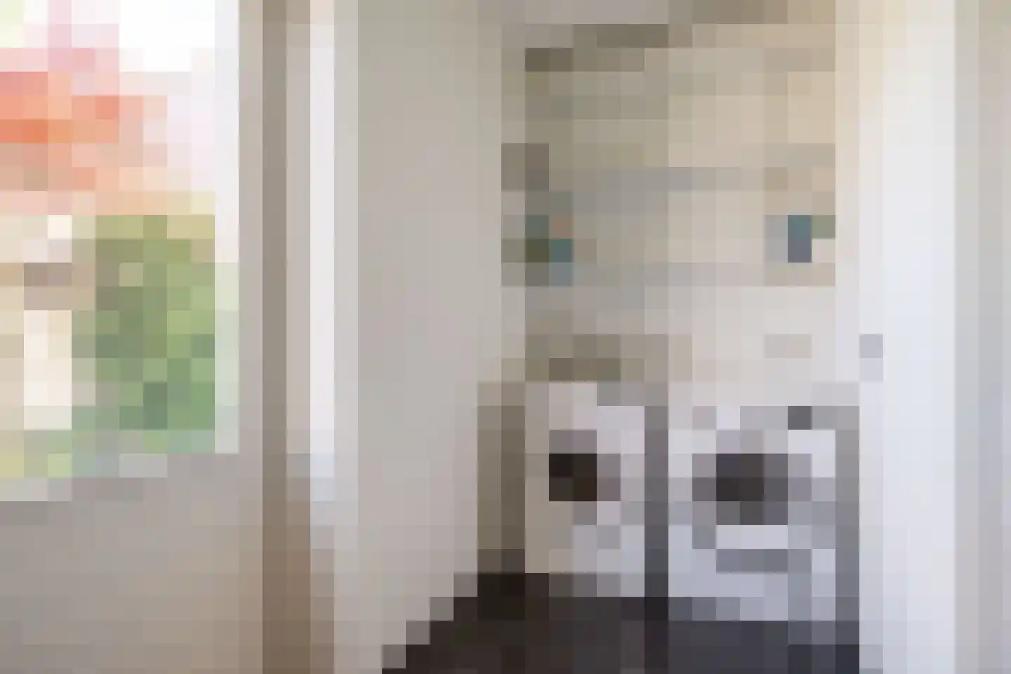 De Eker 10 Goutum thumbnail 44