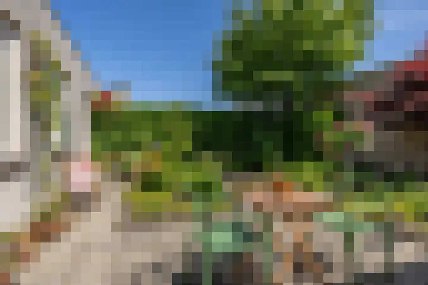 De Eker 10 Goutum thumbnail 46