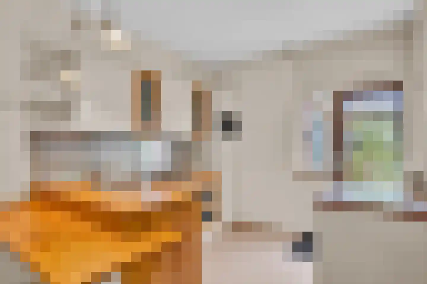 De Eker 11 Balk thumbnail 13